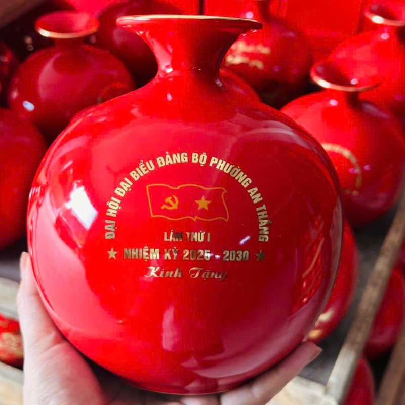 Dự án 14