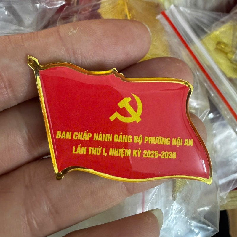 Dự án 14